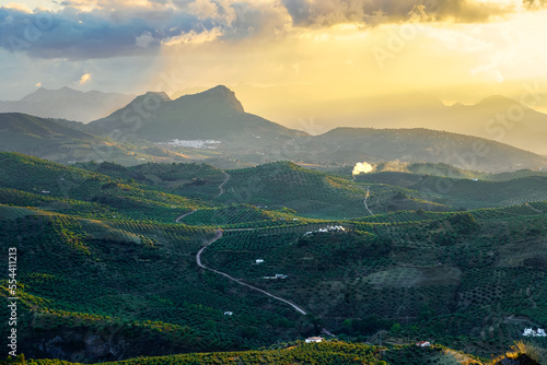 Spectacular sunset over the fields full of olive trees in the mountain range of Grazalema, Cadiz, Spain. photo