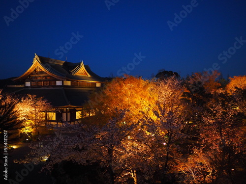 将軍塚青龍殿の夜桜