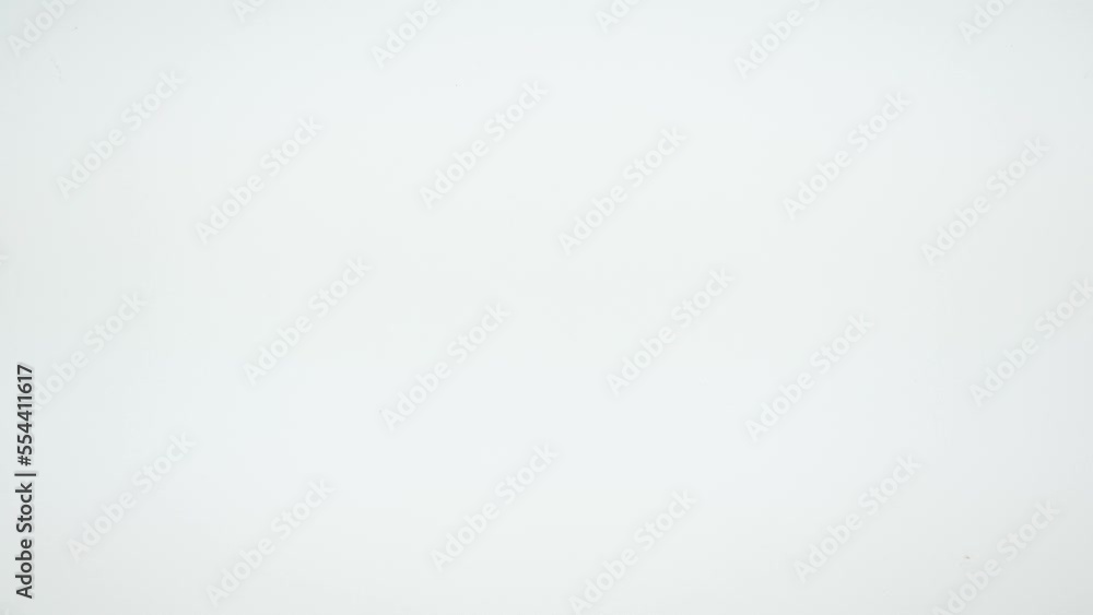 壁を登っていくニホンヤモリ 壁を登っていくニホンヤモリ