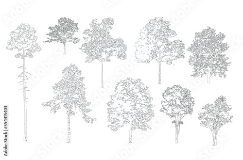 Minimal style cad tree line drawing, Side view, set of graphics trees elements outline symbol for architecture and landscape design drawing. Vector illustration in stroke fill in white. 