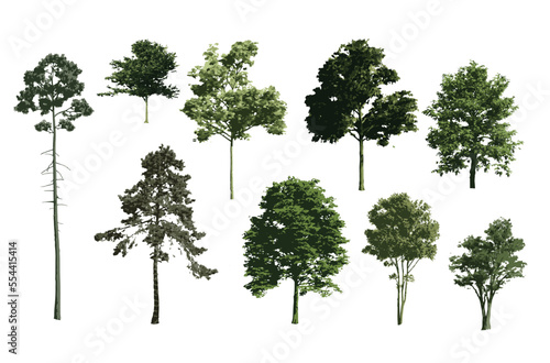 Vector tree green color  Side view  set of graphics trees elements outline symbol for architecture and landscape design drawing. Vector illustration in stroke fill in white. Tropical