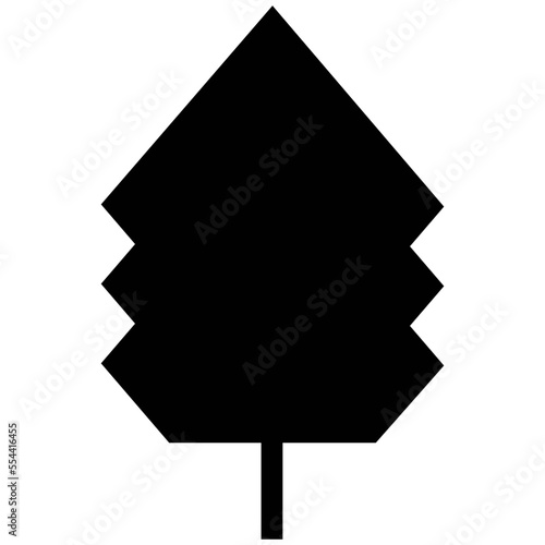 Spruce Tree 