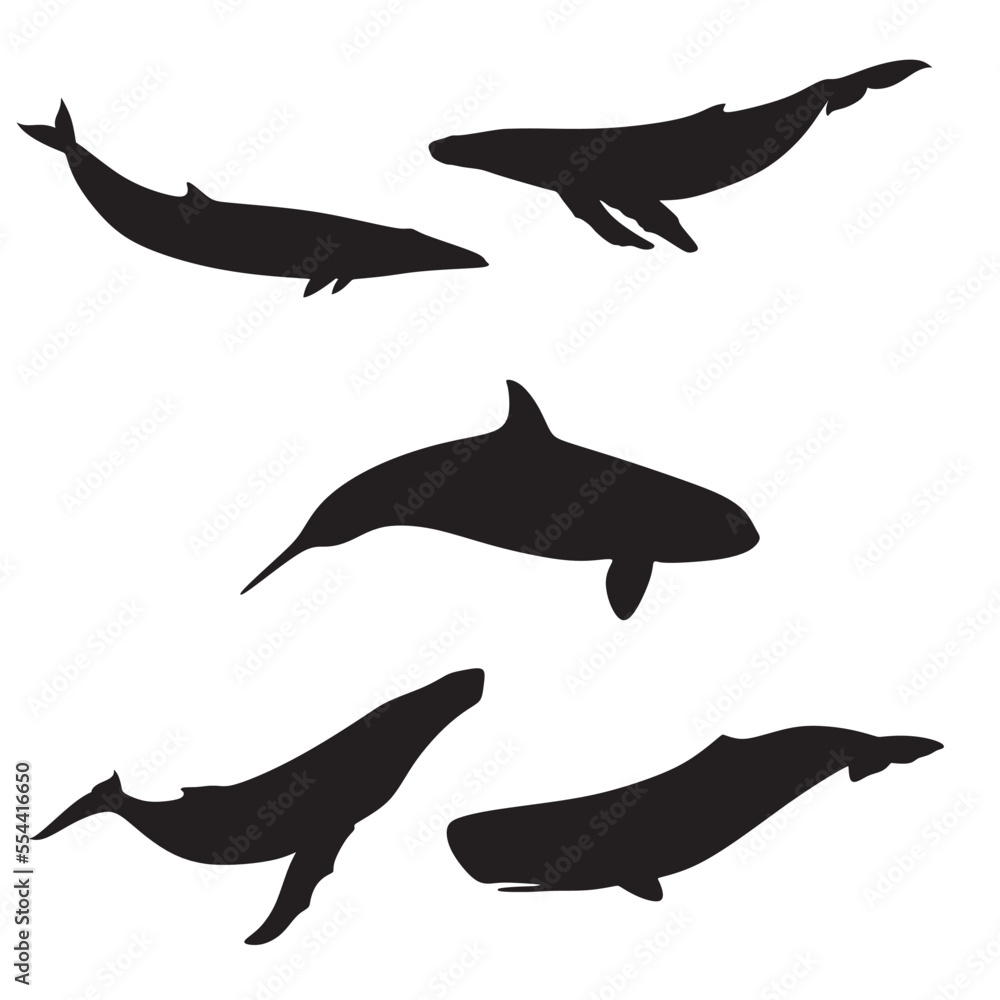 Giant Sea Whales Silhouette Vector Giant Sea Whales Silhouette Vector