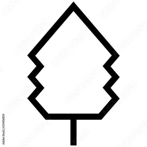 Spruce Tree 