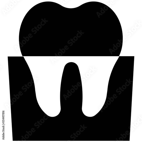 Molar 