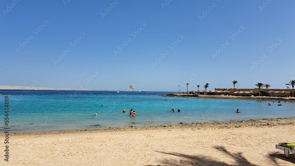 View of the beach with palm trees and sea and sky
