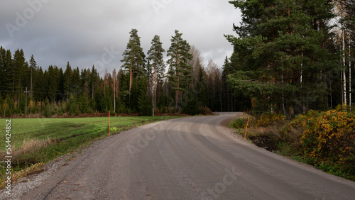 road in the woods © K. Dufva
