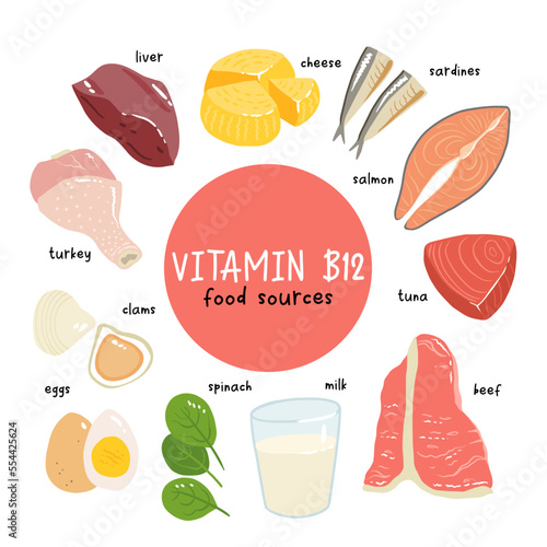 Collection of vitamin B12 food. cheese, eggs, clams, beef, turkey, milk, liver, spinach, sardines, tuna, salmon. Dietetic products, organic natural nutrition. Flat vector cartoon illustration