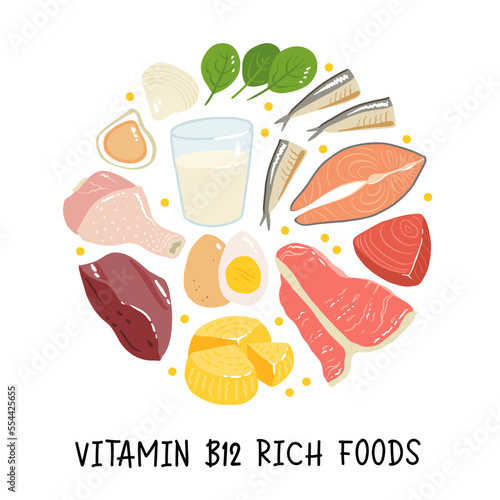 Collection of vitamin B12 food. cheese, eggs, clams, beef, turkey, milk, liver, spinach, sardines, tuna, salmon. Dietetic products, organic natural nutrition. Flat vector cartoon illustration