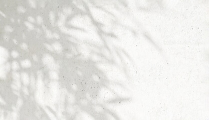 3D Soft beautiful dappled light of tropical bamboo tree foliage in sunlight, leaf shadow on blank white concrete wall with space background for luxury summer, nature, organic product display backdrop