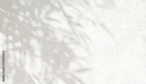 3D Soft beautiful dappled light of tropical bamboo tree foliage in sunlight, leaf shadow on blank white concrete wall with space background for luxury summer, nature, organic product display backdrop