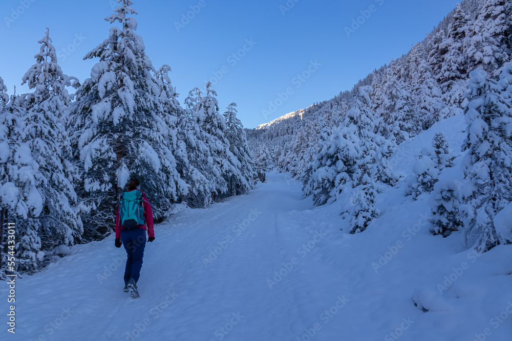 Woman with hiking backpack on a heavy snow covered trail with fir tree in winter wonderland forest in Bleiberger Erzberg mountains, Bad Bleiberg, Carinthia, Austria, Europe. Pine tree after snowfall