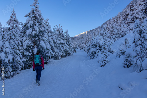 Woman with hiking backpack on a heavy snow covered trail with fir tree in winter wonderland forest in Bleiberger Erzberg mountains, Bad Bleiberg, Carinthia, Austria, Europe. Pine tree after snowfall