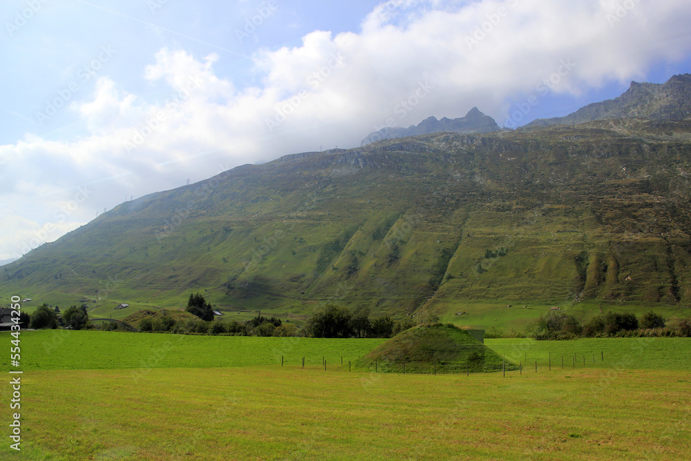 paysage sous la brume