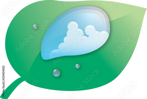 葉の上の水滴に映った入道雲
