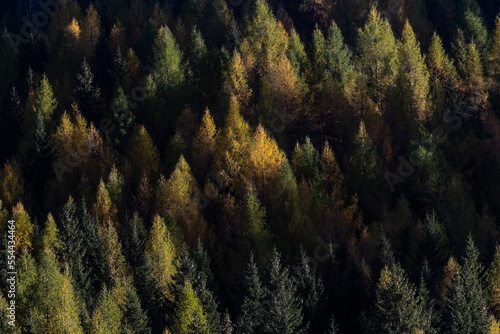 Herbstwald © Matthias_Haberstock