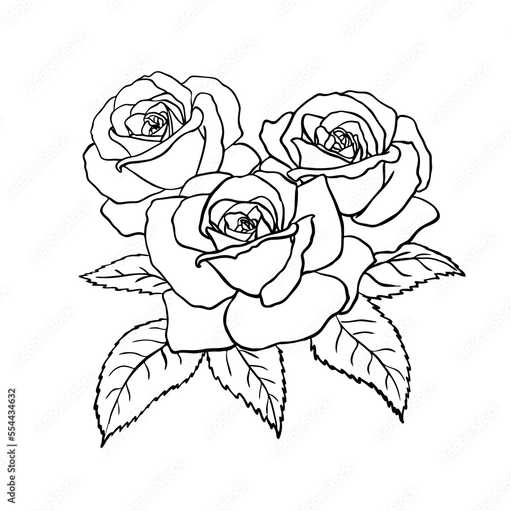 Sketch of a bouquet of roses. Black outline on a white background. Drawing vector graphics with floral pattern for design. Vector illustration. Sketch of a bouquet of roses. Black outline on a white background. Drawing vector graphics with floral pattern for design. Vector illustration.