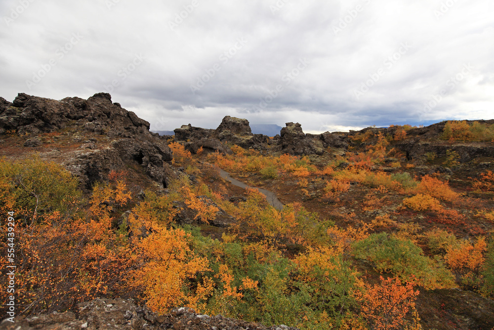 Dimmuborgir, or the Black Fortress, is lava fields in the Lake Mývatn area.