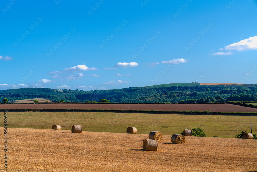English countryside field with hay bales like cotton reels