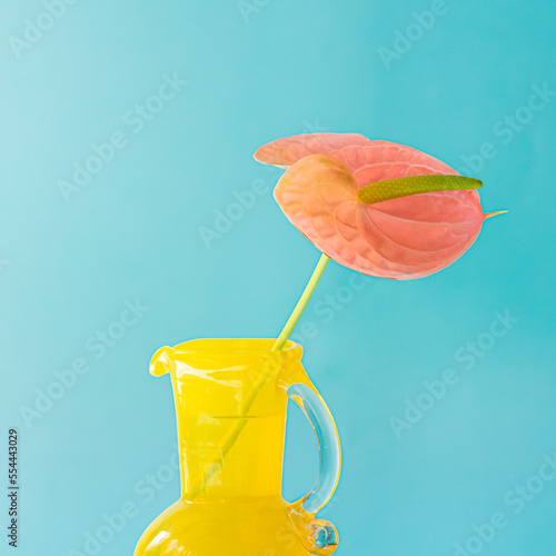 おしゃれで近代的な青い背景のアンスリウムと黄色い花瓶。