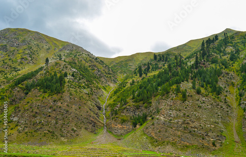 Green Mountains with Cedar Trees, Northern Pakistan