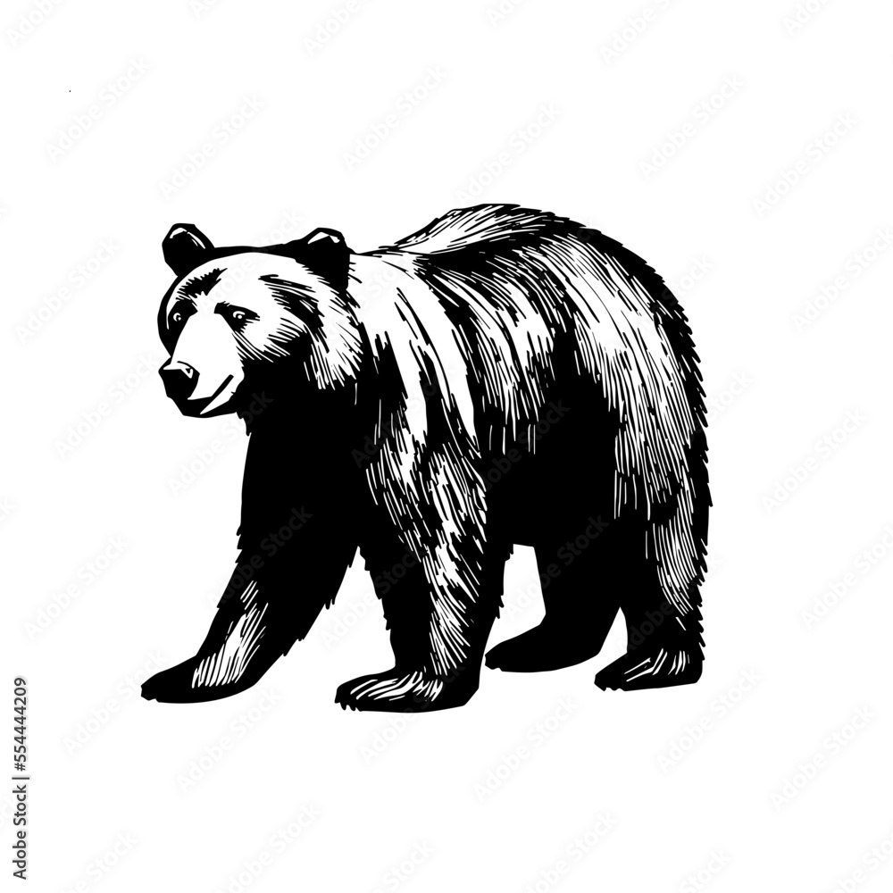 Vector illustration of a black silhouette bear. Isolated white ...