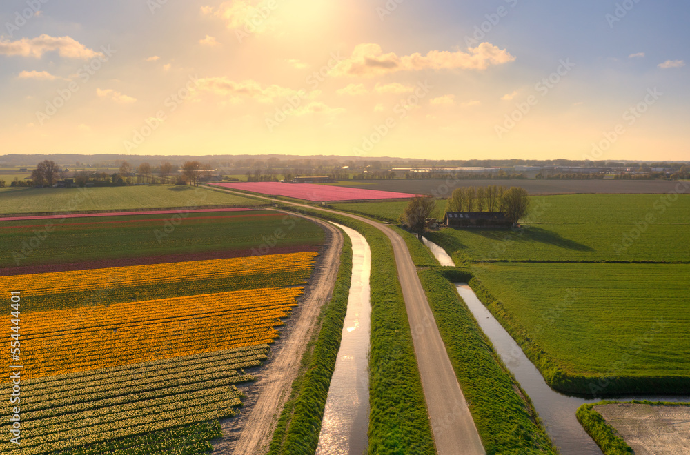 Landscape of a fieldss of tulips / bulb fields near Warmenhuizen, The Netherlands.