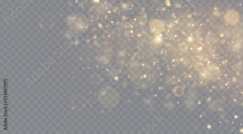 Gold particles. Light effect. Gold dust. background decoration.