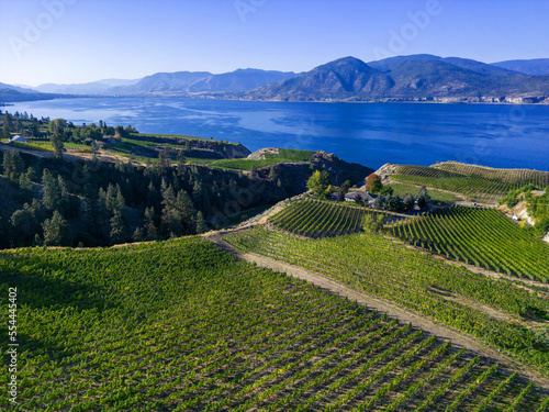 Naramata Bench Okanagan Lake Winery Vineyard Aerial © laughingmangovideo
