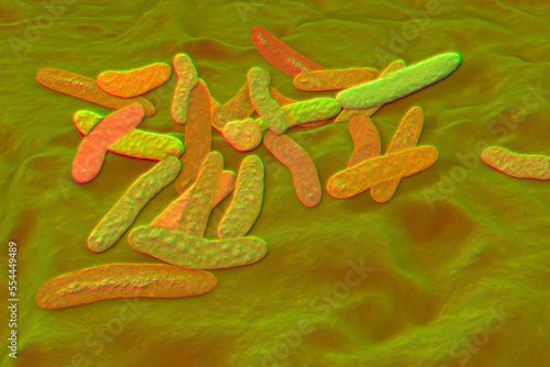 Pseudoalteromonas tetraodonis bacteria, 3D illustration. Marine bacteria living in surface slime of the puffer fish and secreting neurotoxin, tetrodotoxin