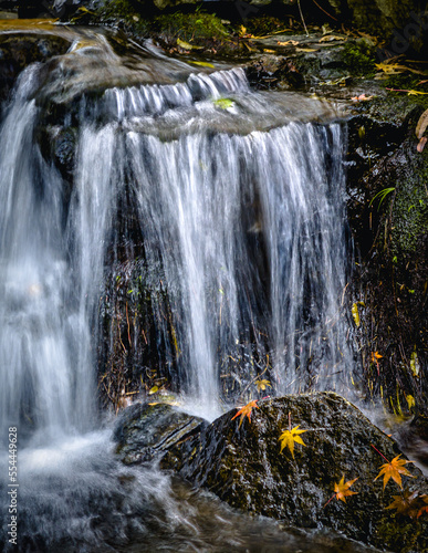 waterfall in the forest © 俊仁 毛