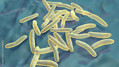 Pseudoalteromonas tetraodonis bacteria, 3D illustration. Marine bacteria living in surface slime of the puffer fish and secreting neurotoxin, tetrodotoxin