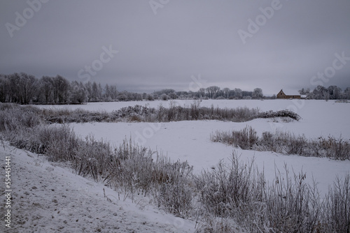 snow covered trees and field in gloomy winter day