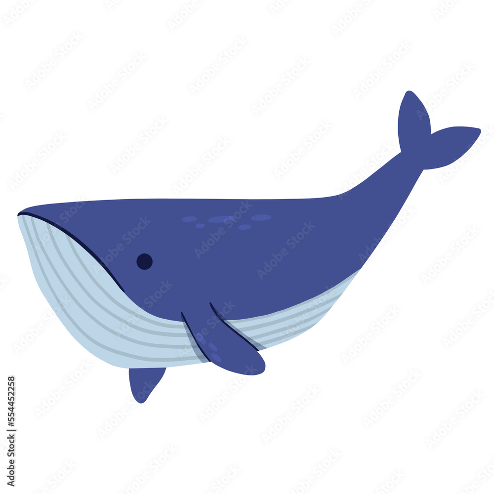 whale animal cartoon illustration whale animal cartoon illustration