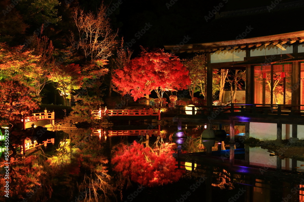 Obraz premium 岩手県奥州市 えさし藤原の郷 紅葉ライトアップ