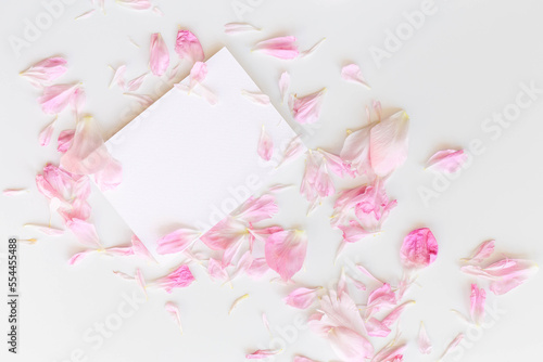 Flatlay composition of pink peony petals and an empty postcard on the white background