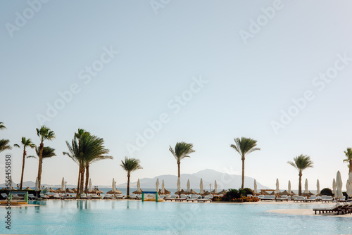 large pool with palm trees on the sea background