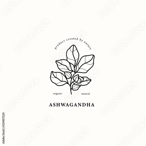 Line art ashwagandha plant illustration