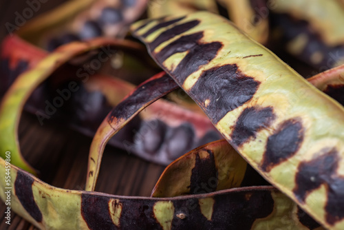 Acacia seeds. black locust. whte acacia on wooden background. Close up photo