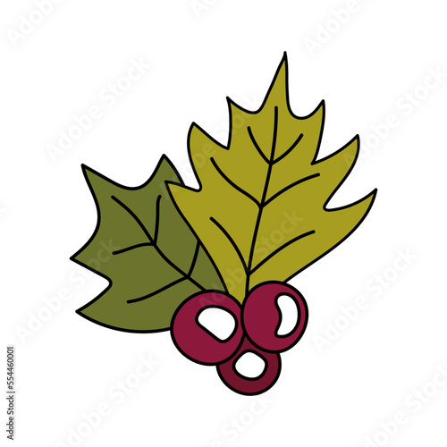 Holly berry doodle. Christmas, New Year element for decor. Vector outline illustration