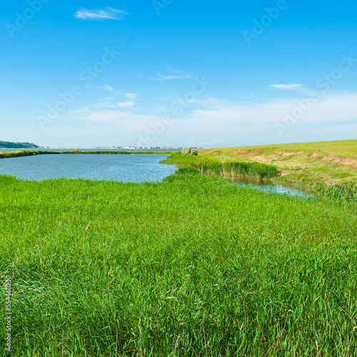Picturesque natural lake with reeds and cattail.