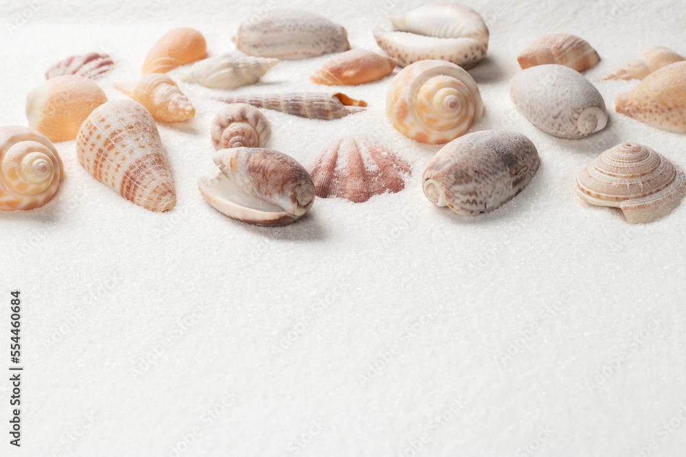 Seashells on sand. Sea summer vacation background with space for the text