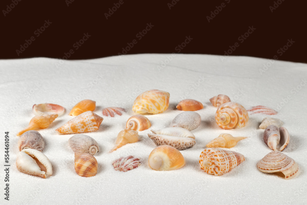 Seashells on sand. Sea summer vacation background with space for the text Seashells on sand. Sea summer vacation background with space for the text