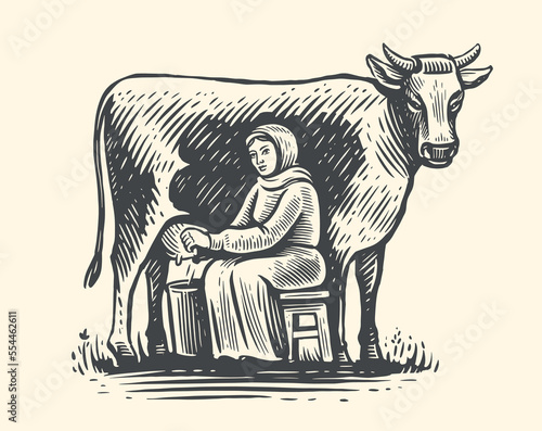 Milkmaid milking cow in field. Dairy farm concept sketch. Production of organic food and drinks based on natural milk