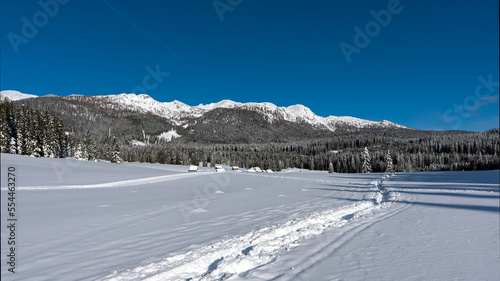 Arrival at the Zajavornik mountain pasture on Pokljuka, Slovenia in winter; several scenic huts with a magnificent background of Julian Alps