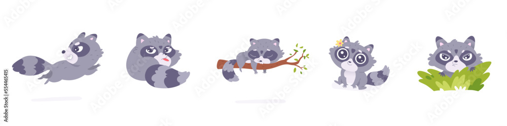 Funny raccoon set, cute zoo or forest baby racoon playing in adorable poses, running