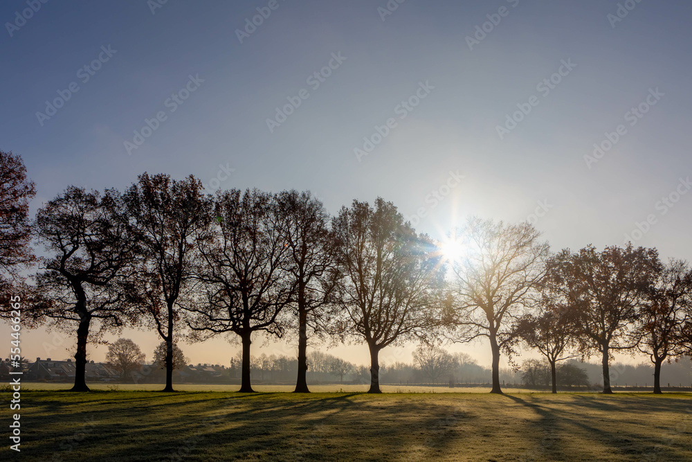 Countryside landscape in winter, Low flat land green meadow with white morning frost, Typical Dutch polder with silhouette line of trees and warm sunlight, Fog and mist on the grass field, Netherlands