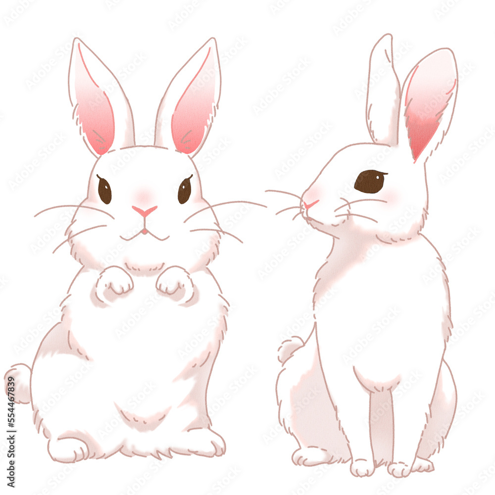 うさぎ 2023年 年賀状素材 イラスト うさぎ 2023年 年賀状素材 イラスト