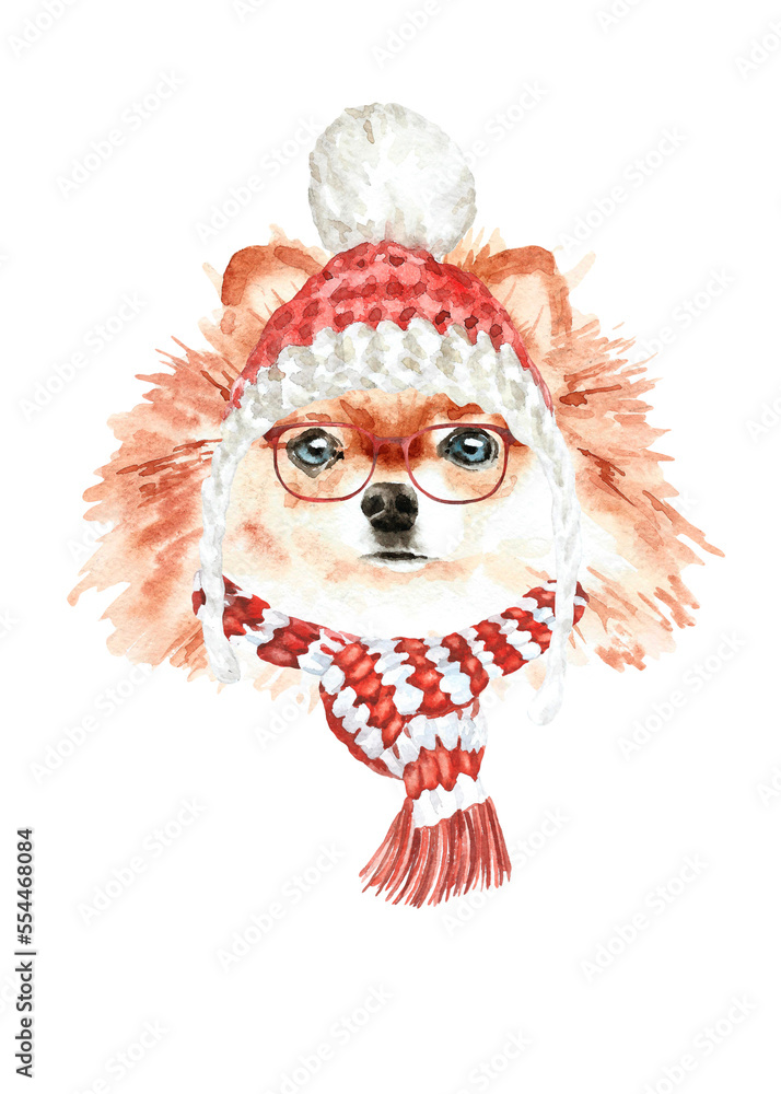 Watercolor pom spitz illustration dogs breeds collection, Merry Christmas greeting card, Dog in santa,elf hat, clothes, funny character printable portrait, costume, New year,lettering diy card design