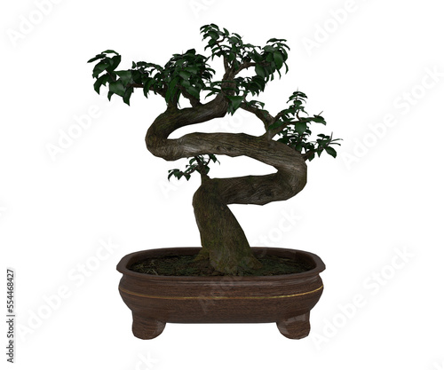 3d rendering A realistic Moyogi style bonsai photo